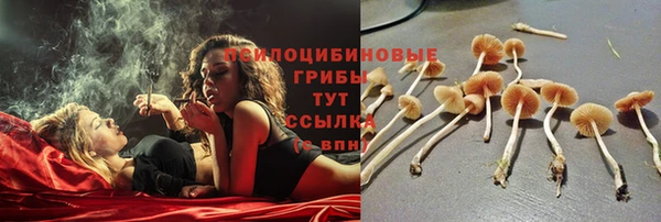 jwh Беломорск